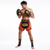 muai thai shorts (8) Red & Gold Champion Muay Thai Shorts